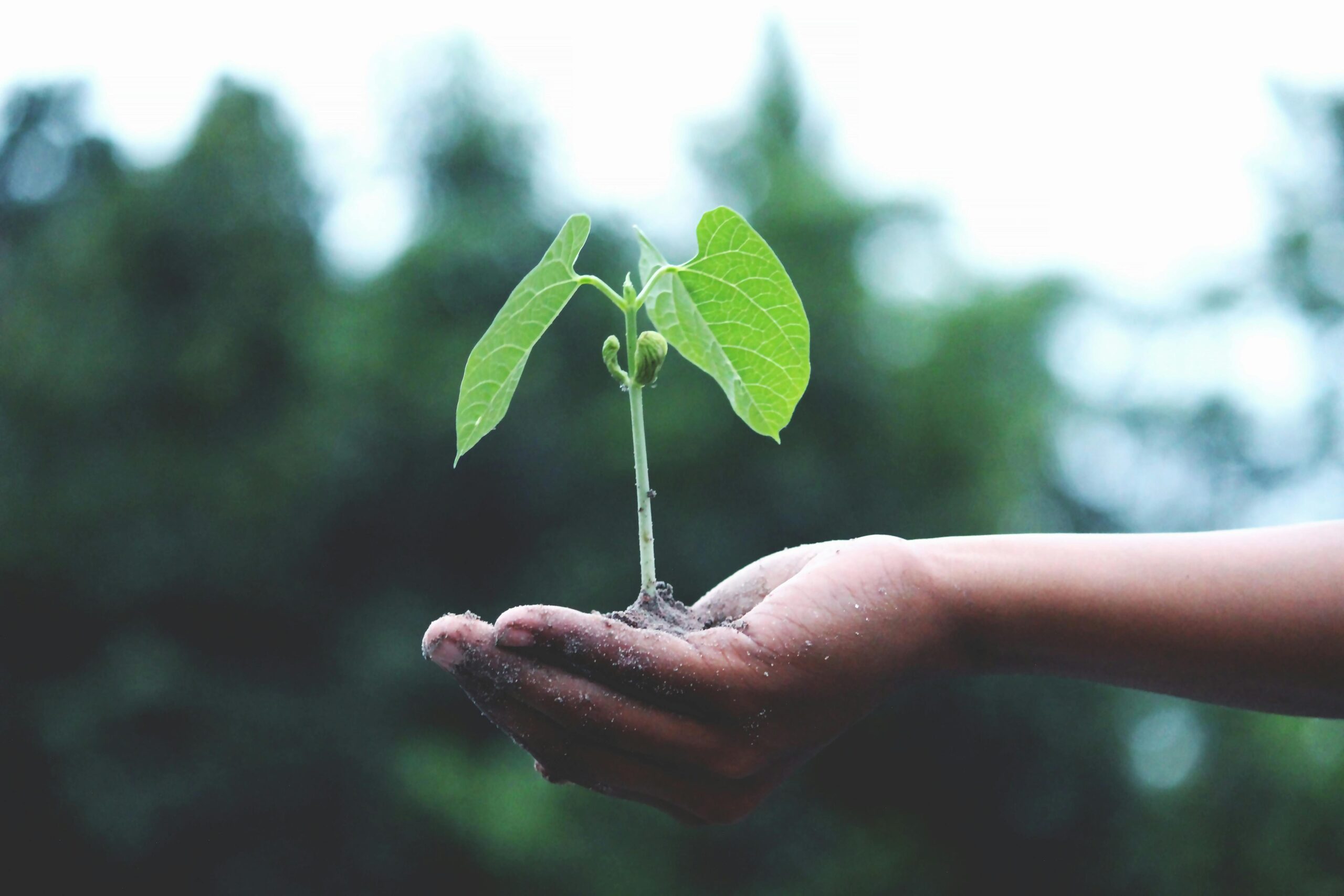 Optimised Acquires Control Energy Costs to Enhance Utility Management